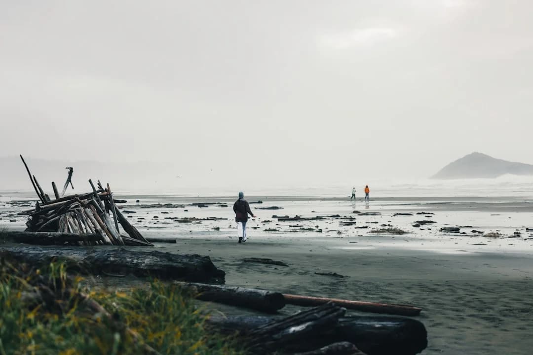 El Niño-driven Heat Waves and Wildfire Risk in BC and PNW