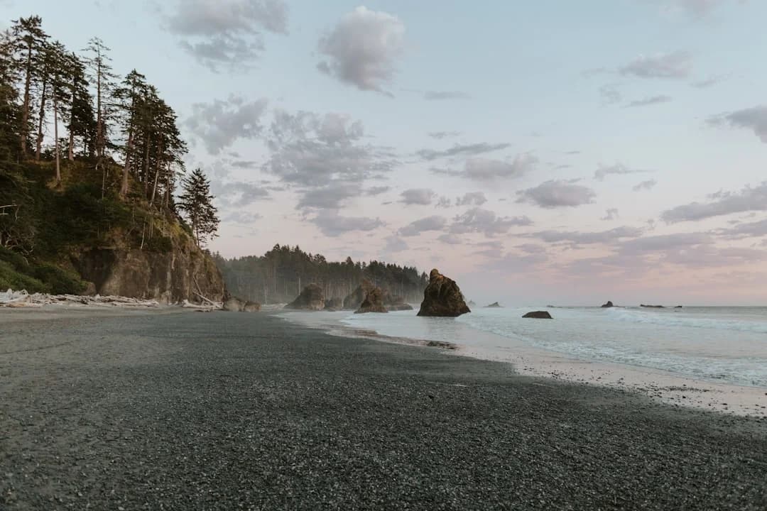 Nature-based Coastal Resilience BC & Pacific Northwest 2026