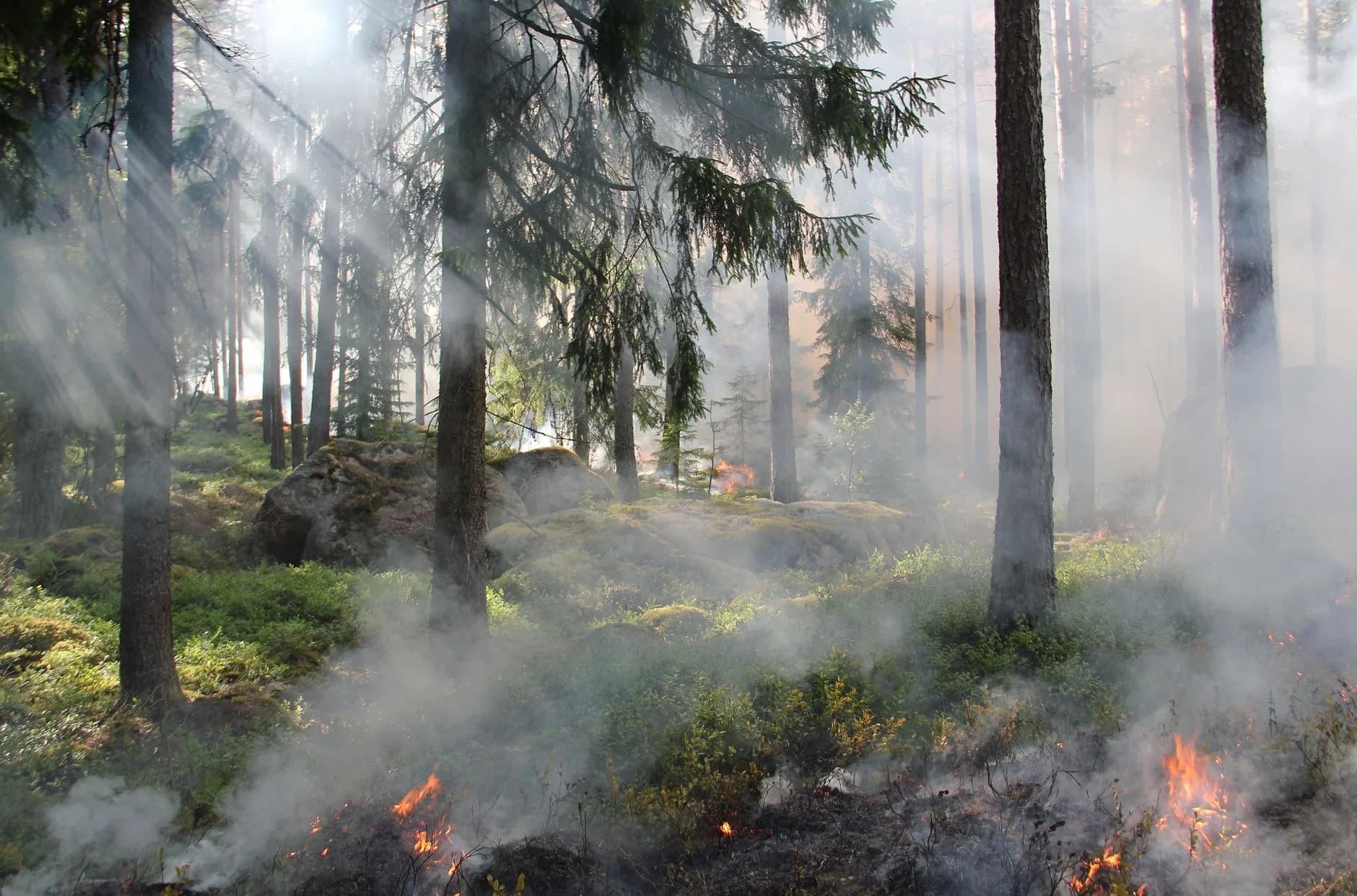 BC wildfire crews prepare for early season……