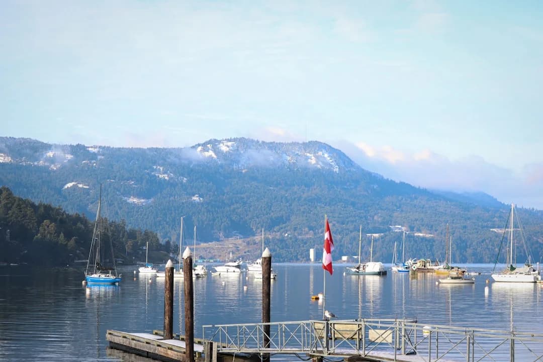Pacific Rim Whale Festival Vancouver Island 2026 Returns