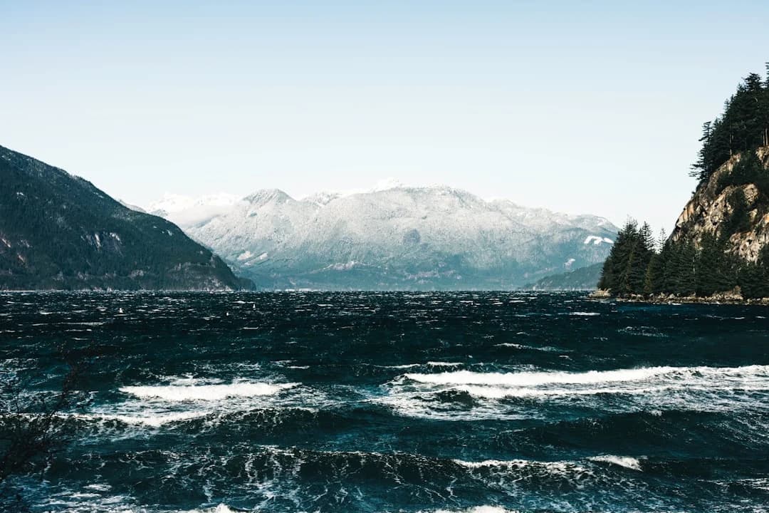 Pacific Salmon Strategy Initiative Funding Extension BC 2026