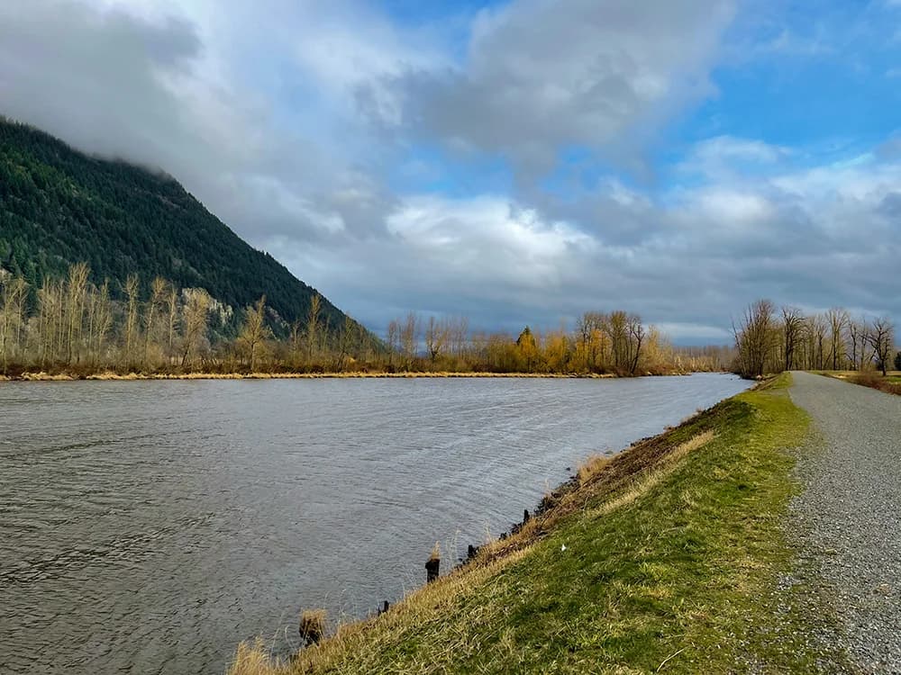 Cover Image for Sumas River flood mitigation BC 2026: Trends