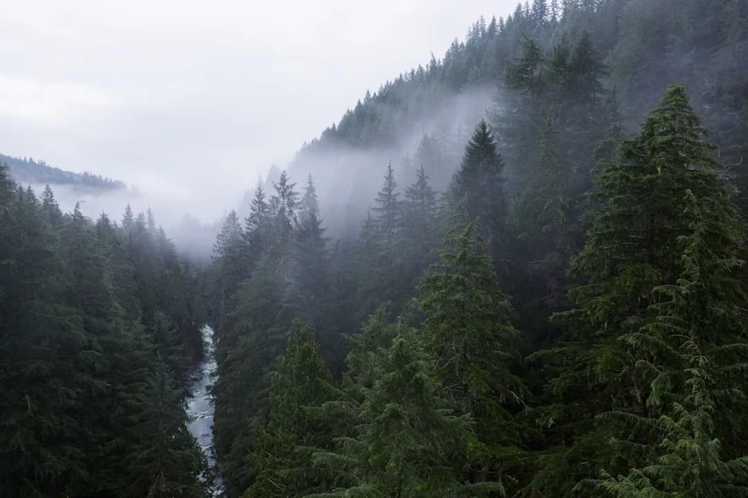 NbS Climate Adaptation Across BC and Pacific Northwest