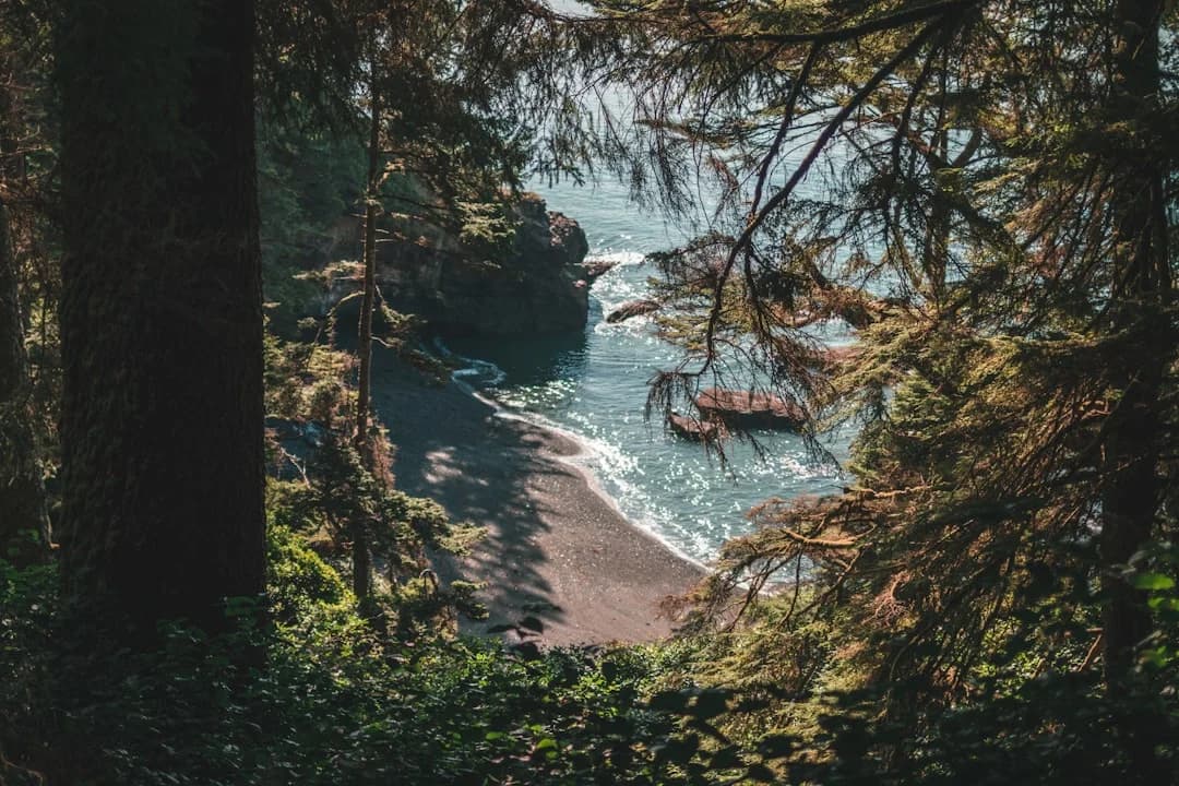 Regenerative Tourism Vancouver Island: a New Blueprint