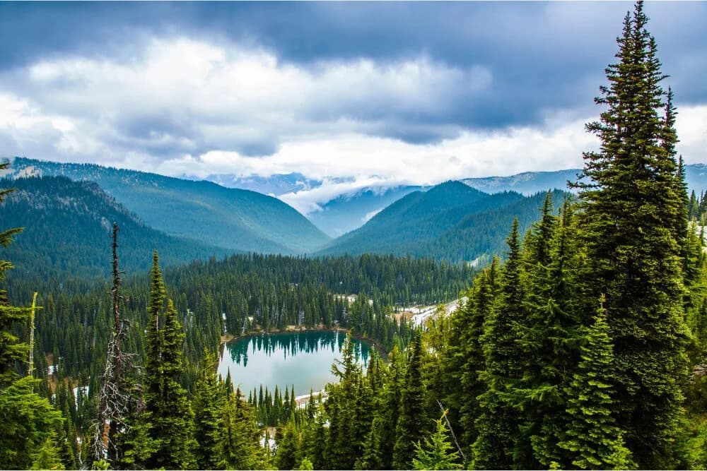 Pacific Northwest environmental policy 2026: Tech Trends