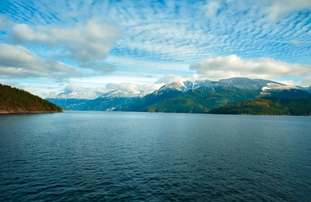 British Columbia Carbon Pricing Public Opinion 2026 Insights