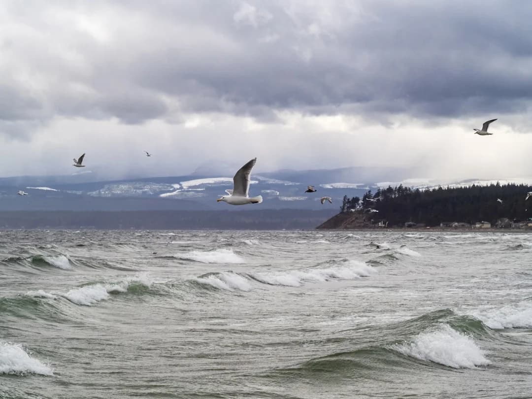Vancouver Island Wind-wave-hydrogen Hybrid Energy Pilot