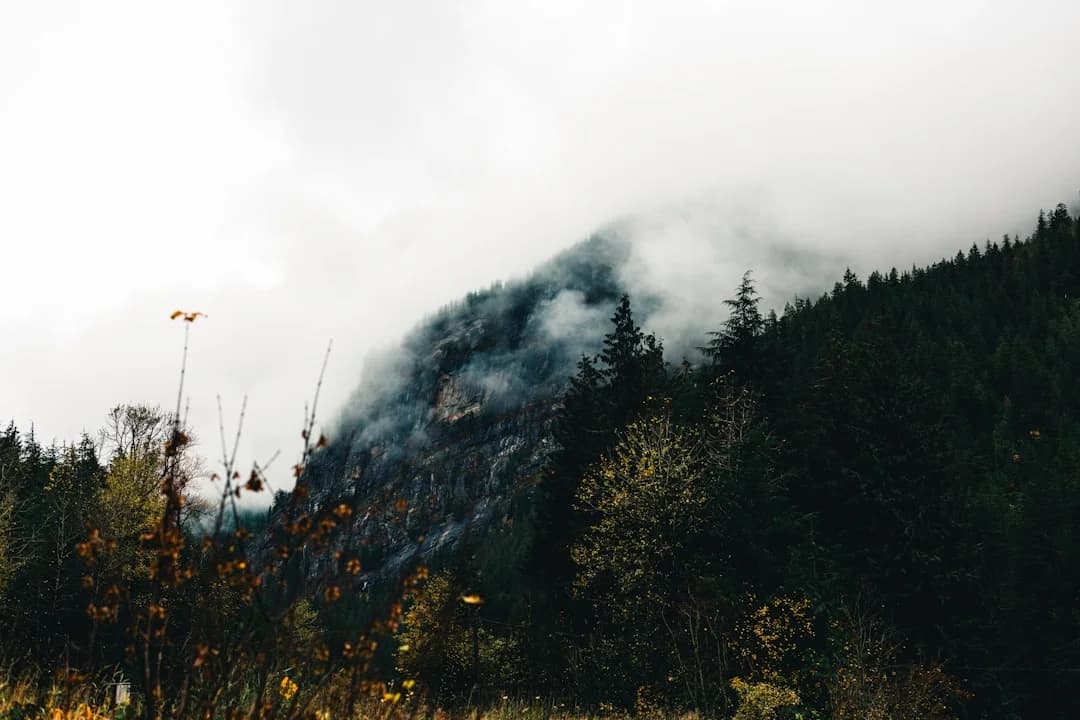 AI-powered Wildfire Forecasting BC and Pacific Northwest