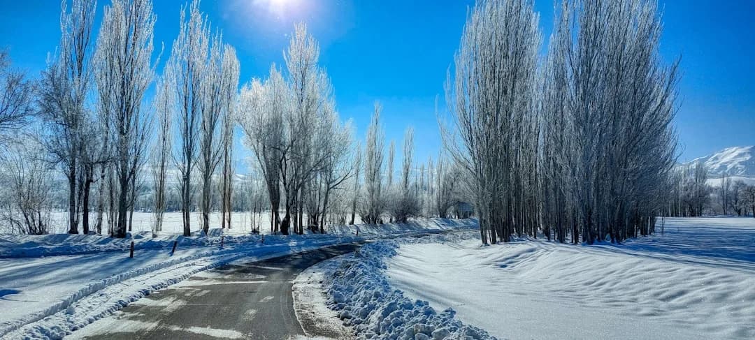 BC February 2026 heat records: Unseasonable Warmth Across BC