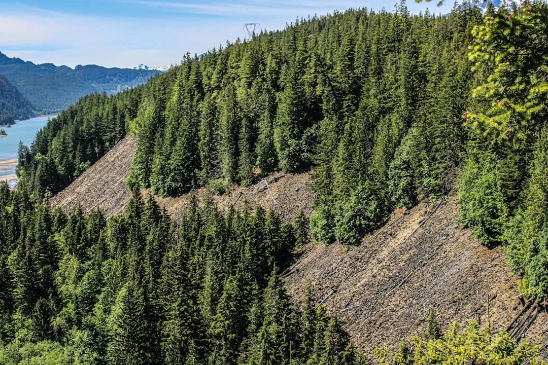 British Columbia Wildfire Season 2026 Drought Outlook