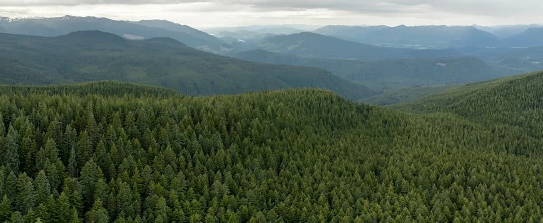 BC and Pacific Northwest environmental policy 2026: Trends